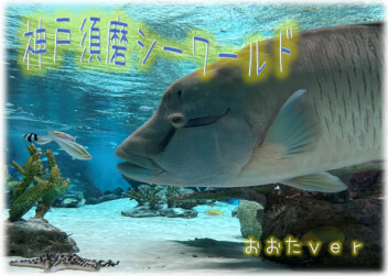 水族館行ってきたって　おおたｖｅｒ